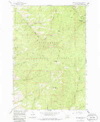 Deer Mountain Montana Historical topographic map, 1:24000 scale, 7.5 X 7.5 Minute, Year 1964