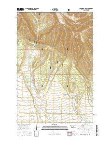 Green Ashly Gulch Montana Current topographic map, 1:24000 scale, 7.5 X 7.5 Minute, Year 2014