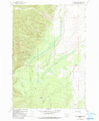 Isaac Meadows Montana Historical topographic map, 1:24000 scale, 7.5 X 7.5 Minute, Year 1966
