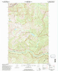 Mount Bradley Montana Historical topographic map, 1:24000 scale, 7.5 X 7.5 Minute, Year 1994
