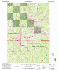 Mount Evans Montana Historical topographic map, 1:24000 scale, 7.5 X 7.5 Minute, Year 1996