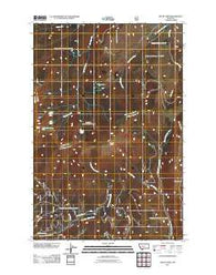 Mount Edith Montana Historical topographic map, 1:24000 scale, 7.5 X 7.5 Minute, Year 2011