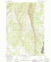 Mystery Cave Montana Historical topographic map, 1:24000 scale, 7.5 X 7.5 Minute, Year 1964