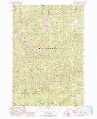 Piquett Mountain Montana Historical topographic map, 1:24000 scale, 7.5 X 7.5 Minute, Year 1991