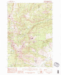 Ramshorn Peak Montana Historical topographic map, 1:24000 scale, 7.5 X 7.5 Minute, Year 1986