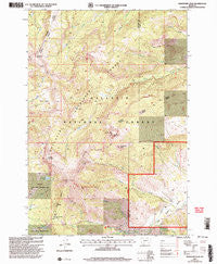 Ramshorn Peak Montana Historical topographic map, 1:24000 scale, 7.5 X 7.5 Minute, Year 2000