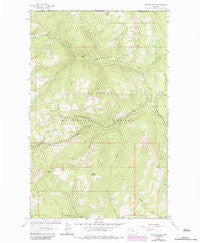 Red Mountain Montana Historical topographic map, 1:24000 scale, 7.5 X 7.5 Minute, Year 1963
