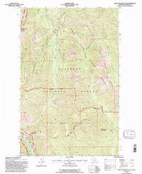 Red Plume Mountain Montana Historical topographic map, 1:24000 scale, 7.5 X 7.5 Minute, Year 1994