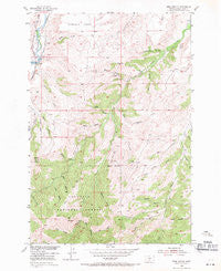 Ross Canyon Montana Historical topographic map, 1:24000 scale, 7.5 X 7.5 Minute, Year 1954