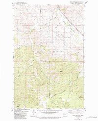 Saddle Mountain Montana Historical topographic map, 1:24000 scale, 7.5 X 7.5 Minute, Year 1984