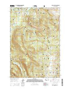 Selway Mountain Montana Current topographic map, 1:24000 scale, 7.5 X 7.5 Minute, Year 2014