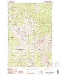 Straight Peak Montana Historical topographic map, 1:24000 scale, 7.5 X 7.5 Minute, Year 1985