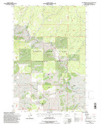 Strawberry Butte Montana Historical topographic map, 1:24000 scale, 7.5 X 7.5 Minute, Year 1995