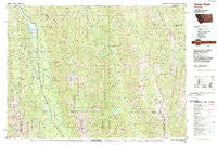 Swan Peak Montana Historical topographic map, 1:100000 scale, 30 X 60 Minute, Year 1988