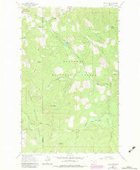 Sylvia Lake Montana Historical topographic map, 1:24000 scale, 7.5 X 7.5 Minute, Year 1963