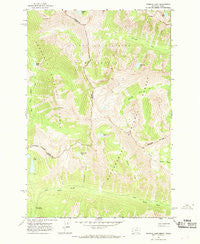 Tenmile Lake Montana Historical topographic map, 1:24000 scale, 7.5 X 7.5 Minute, Year 1964