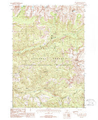 The Pyramid Montana Historical topographic map, 1:24000 scale, 7.5 X 7.5 Minute, Year 1987