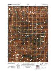 The Needles Montana Historical topographic map, 1:24000 scale, 7.5 X 7.5 Minute, Year 2011