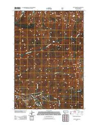 The Pyramid Montana Historical topographic map, 1:24000 scale, 7.5 X 7.5 Minute, Year 2011