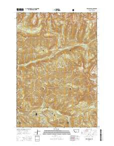 The Pyramid Montana Current topographic map, 1:24000 scale, 7.5 X 7.5 Minute, Year 2014
