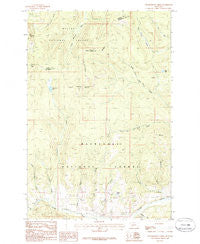 Thunderbolt Creek Montana Historical topographic map, 1:24000 scale, 7.5 X 7.5 Minute, Year 1985