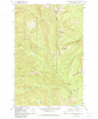 Thunderbolt Mountain Montana Historical topographic map, 1:24000 scale, 7.5 X 7.5 Minute, Year 1965