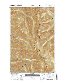 Thunderbolt Mountain Montana Current topographic map, 1:24000 scale, 7.5 X 7.5 Minute, Year 2014