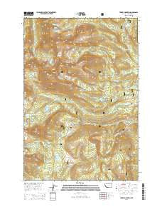 Torrey Mountain Montana Current topographic map, 1:24000 scale, 7.5 X 7.5 Minute, Year 2014