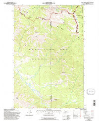 Trap Mountain Montana Historical topographic map, 1:24000 scale, 7.5 X 7.5 Minute, Year 1994