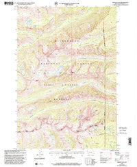 Trapper Peak Montana Historical topographic map, 1:24000 scale, 7.5 X 7.5 Minute, Year 1998