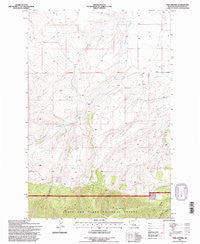 Twin Sisters Montana Historical topographic map, 1:24000 scale, 7.5 X 7.5 Minute, Year 1995