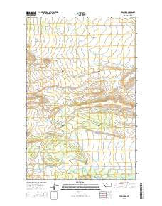 Twin Lakes Montana Current topographic map, 1:24000 scale, 7.5 X 7.5 Minute, Year 2014