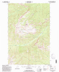 Una Mountain Montana Historical topographic map, 1:24000 scale, 7.5 X 7.5 Minute, Year 1994