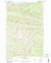 Ward Mountain Montana Historical topographic map, 1:24000 scale, 7.5 X 7.5 Minute, Year 1964