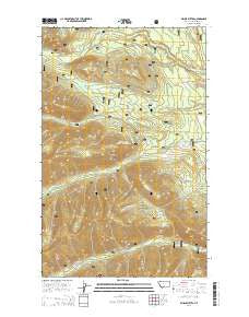 Whale Buttes Montana Current topographic map, 1:24000 scale, 7.5 X 7.5 Minute, Year 2014