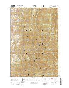 Willow Mountain Montana Current topographic map, 1:24000 scale, 7.5 X 7.5 Minute, Year 2014