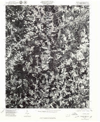 Belews Creek North Carolina Historical topographic map, 1:24000 scale, 7.5 X 7.5 Minute, Year 1977