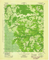 Lewis Swamp North Carolina Historical topographic map, 1:31680 scale, 7.5 X 7.5 Minute, Year 1944