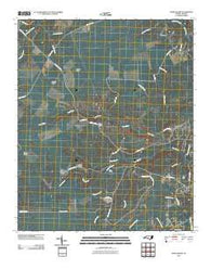 Lewis Swamp North Carolina Historical topographic map, 1:24000 scale, 7.5 X 7.5 Minute, Year 2010