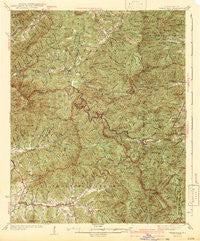 Wayah Bald North Carolina Historical topographic map, 1:62500 scale, 15 X 15 Minute, Year 1942