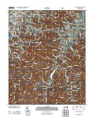 Waynesville North Carolina Historical topographic map, 1:24000 scale, 7.5 X 7.5 Minute, Year 2011