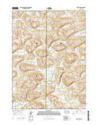 Alkali Lake Nebraska Current topographic map, 1:24000 scale, 7.5 X 7.5 Minute, Year 2014