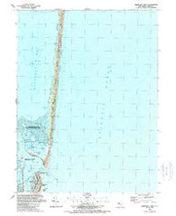 Barnegat Light New Jersey Historical topographic map, 1:24000 scale, 7.5 X 7.5 Minute, Year 1989