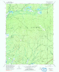 Oswego Lake New Jersey Historical topographic map, 1:24000 scale, 7.5 X 7.5 Minute, Year 1955