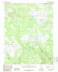 Agua Fria Peak New Mexico Historical topographic map, 1:24000 scale, 7.5 X 7.5 Minute, Year 1987