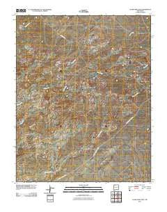 Alamo Mesa East New Mexico Historical topographic map, 1:24000 scale, 7.5 X 7.5 Minute, Year 2010