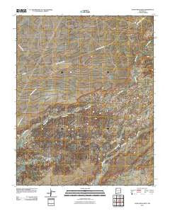 Alamo Mesa West New Mexico Historical topographic map, 1:24000 scale, 7.5 X 7.5 Minute, Year 2010