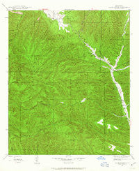 Allie Canyon New Mexico Historical topographic map, 1:24000 scale, 7.5 X 7.5 Minute, Year 1947
