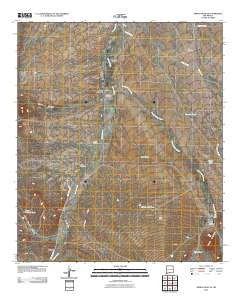Animas Peak NE New Mexico Historical topographic map, 1:24000 scale, 7.5 X 7.5 Minute, Year 2010
