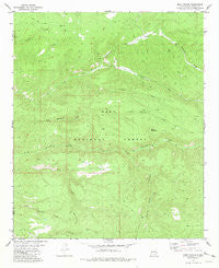 Baily Points New Mexico Historical topographic map, 1:24000 scale, 7.5 X 7.5 Minute, Year 1981